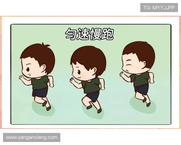 杨芳独家分享排球心得与技巧助你提升球技的全面指南 杨芳独家分享排球心得与技巧助你提升球技的全面指南