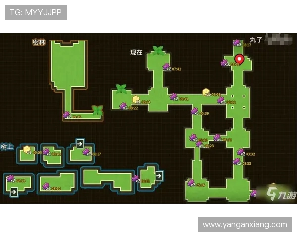 极限运动比赛新手指南从零开始的全方位经验分享与技巧总结