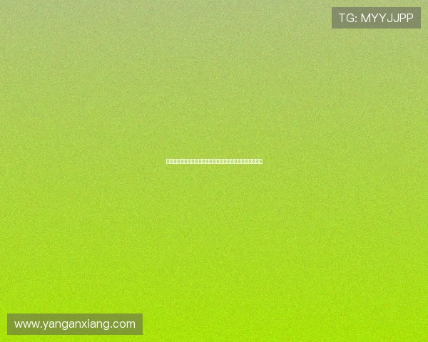 圣伊天与尼斯的对决揭示法甲联赛新动态与球队未来发展潜力