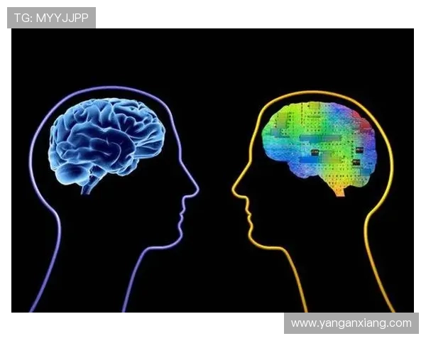 天主大学与基药塔的巅峰对决谁将赢得荣耀与未来