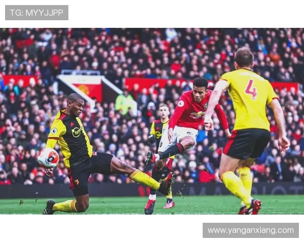 沃特福德与曼联历史交锋战绩分析及近期表现对比