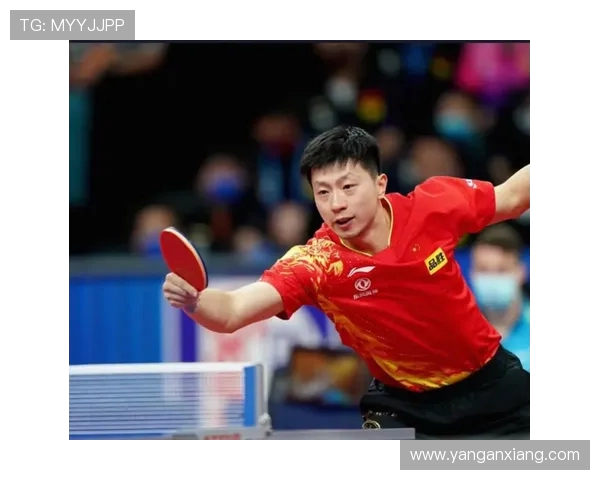 乒乓球比赛经验排行榜揭晓上海乒乓球队荣登第七位引发关注