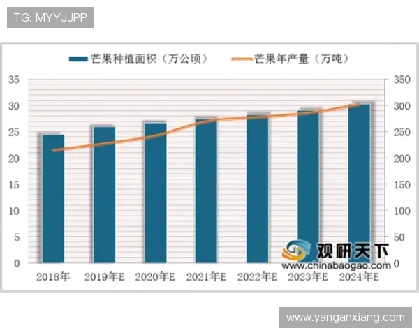 南京排球队实力分析与发展前景的深度探讨与展望 南京排球队实力分析与发展前景的深度探讨与展望