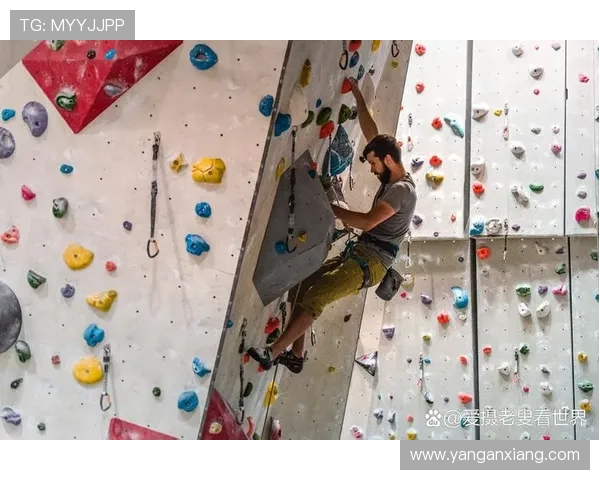 成都攀岩队在世界滑板锦标赛中以93分稳居积分榜首位