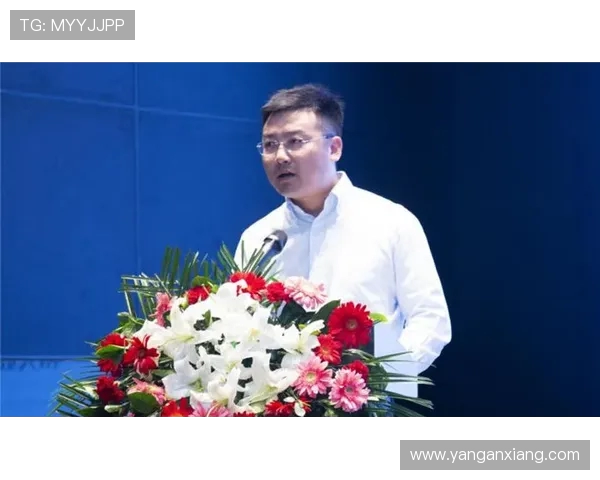 深圳攀岩队的团队协作探索与攀岩精神的完美结合