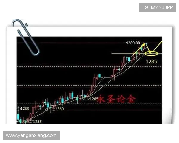 独家解析WE力量对比背后的深层影响与未来趋势